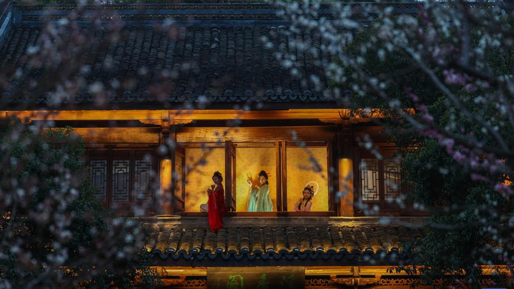 杭州賞梅勝地開啟特色夜游賞梅活動