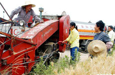 中石油采取措施保障“三夏”農(nóng)用柴油供應
