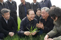 溫家寶:油價若漲將直補農(nóng)民