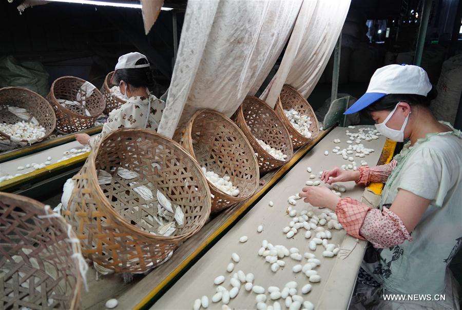 CHINA-SHAANXI-SHIQUAN-MULBERRY SILK INDUSTRY (CN)