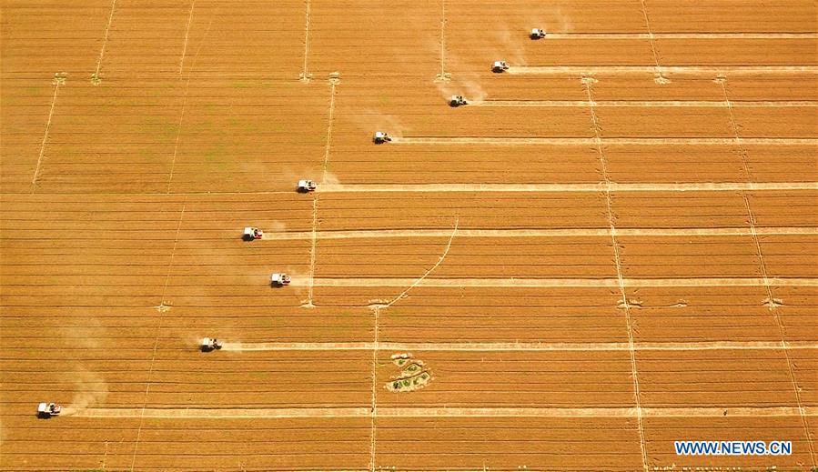 CHINA-AGRICULTURE-MECHANIZATION RATE (CN)