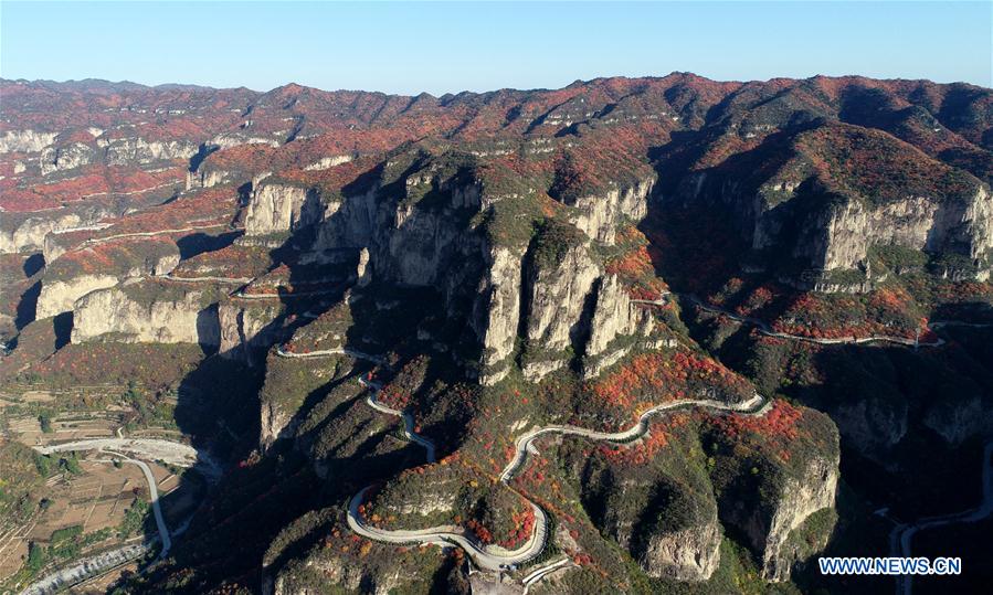 CHINA-HEBEI-PINGSHAN COUNTY-AUTUMN SCENERY-RED LEAF (CN)