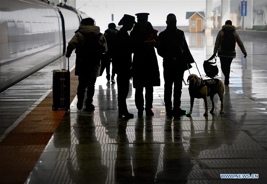 CHINA-HENAN-ZHENGZHOU-GUIDE DOG-SPRING FESTIVAL TRAVEL RUSH (CN)