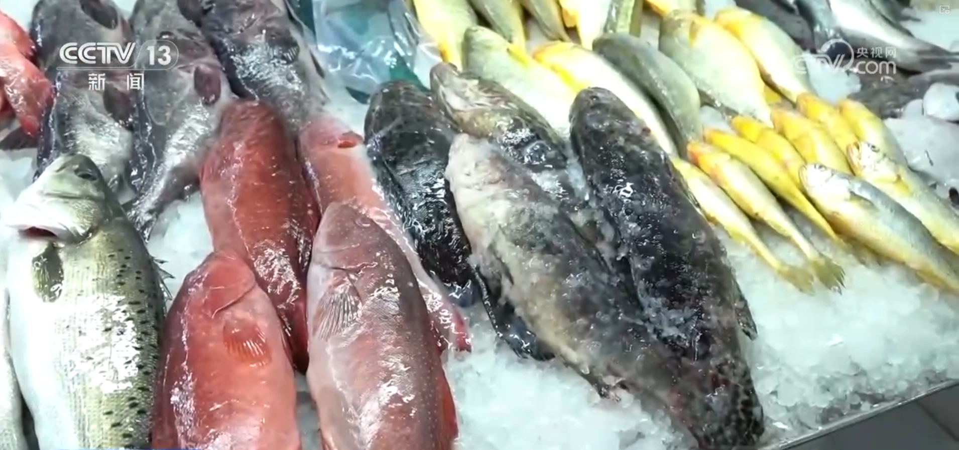 逛市集、赏非遗、买年货 来传统大集感受年味 在文化与烟火气中喜迎佳节