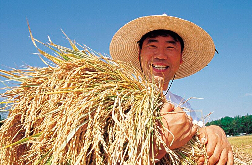 2015年中央一號文件發(fā)布 連續(xù)第12年聚焦&ldquo;三農(nóng)&rdquo;