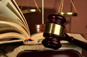 抓害群之馬，助金融改革一臂之力