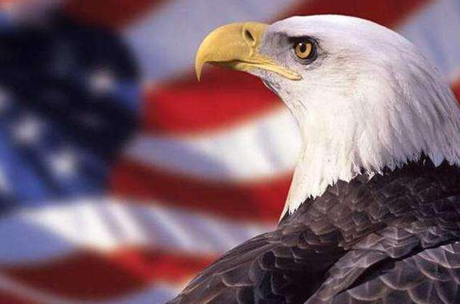 若鷹派掌權(quán)會發(fā)生什么？