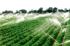 【4月3日】部署現(xiàn)代農業(yè)配套改革試驗工作