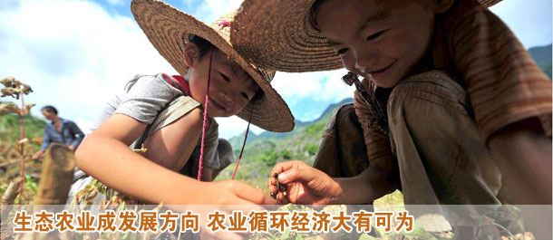 生態(tài)農(nóng)業(yè)變身高富帥 農(nóng)業(yè)循環(huán)經(jīng)濟(jì)大有可為