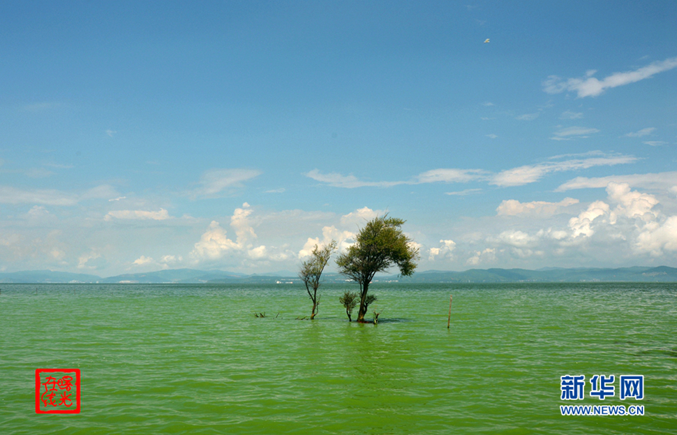 陽光昆明，爽爽的春城
