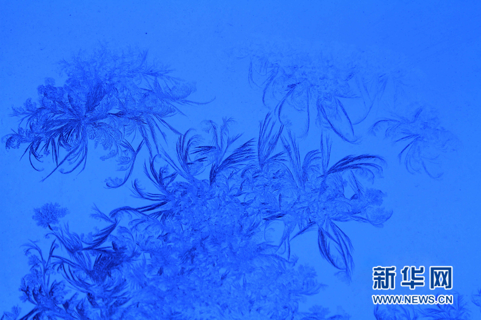 忽如一夜寒冬來，千家萬戶窗花開