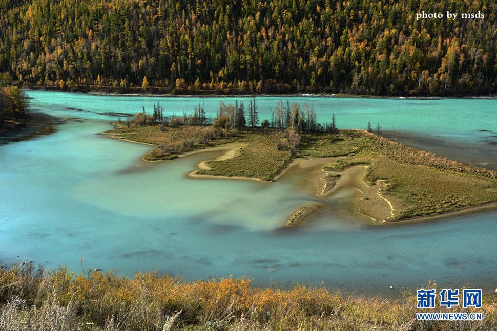 《喀納斯臥龍灣 》