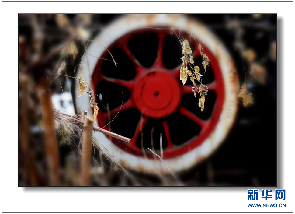 《遺世流年抹滄?！?>	</a></div>
</div>
<div   id=