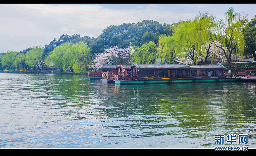 聽風西湖柳，聞香龍井茶