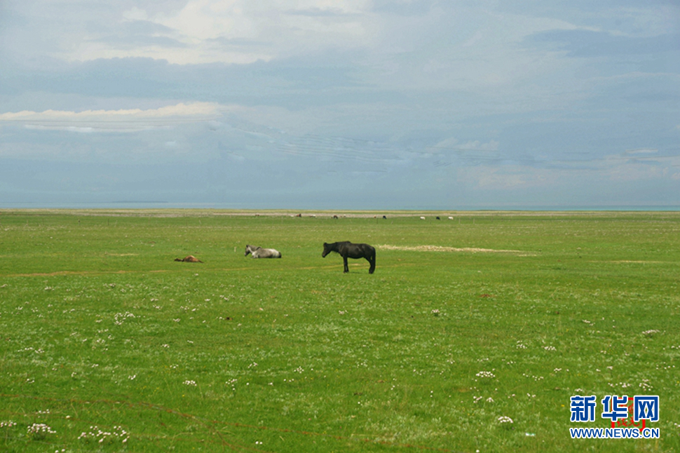 高原放歌之那山、那寺、那朵云