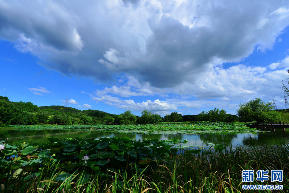 秋高氣爽，行攝八掛田