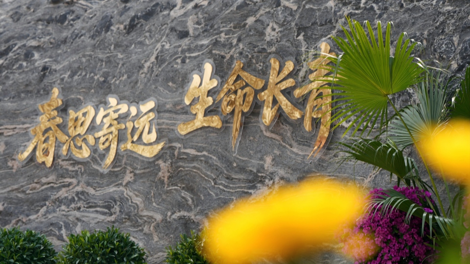 新華網(wǎng)民生觀察丨生態(tài)安葬，從被動接受到主動預(yù)約