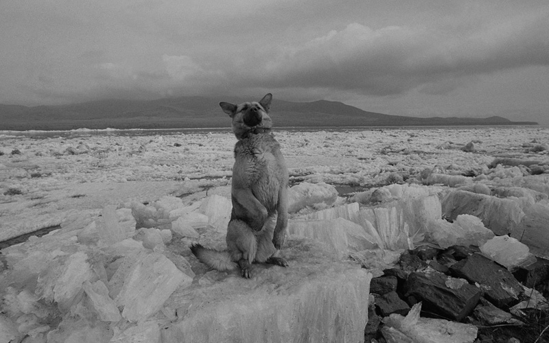 線云強(qiáng)作品:東方第一哨，最早迎接太陽(yáng)的士兵