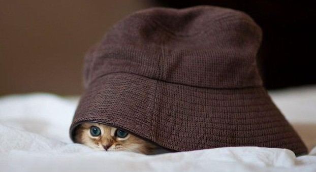 老外搞怪！facebook插圖欣賞(組圖)