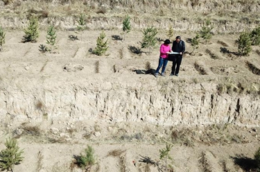 與林木結(jié)緣&mdash;&mdash;綠色是她的摯愛