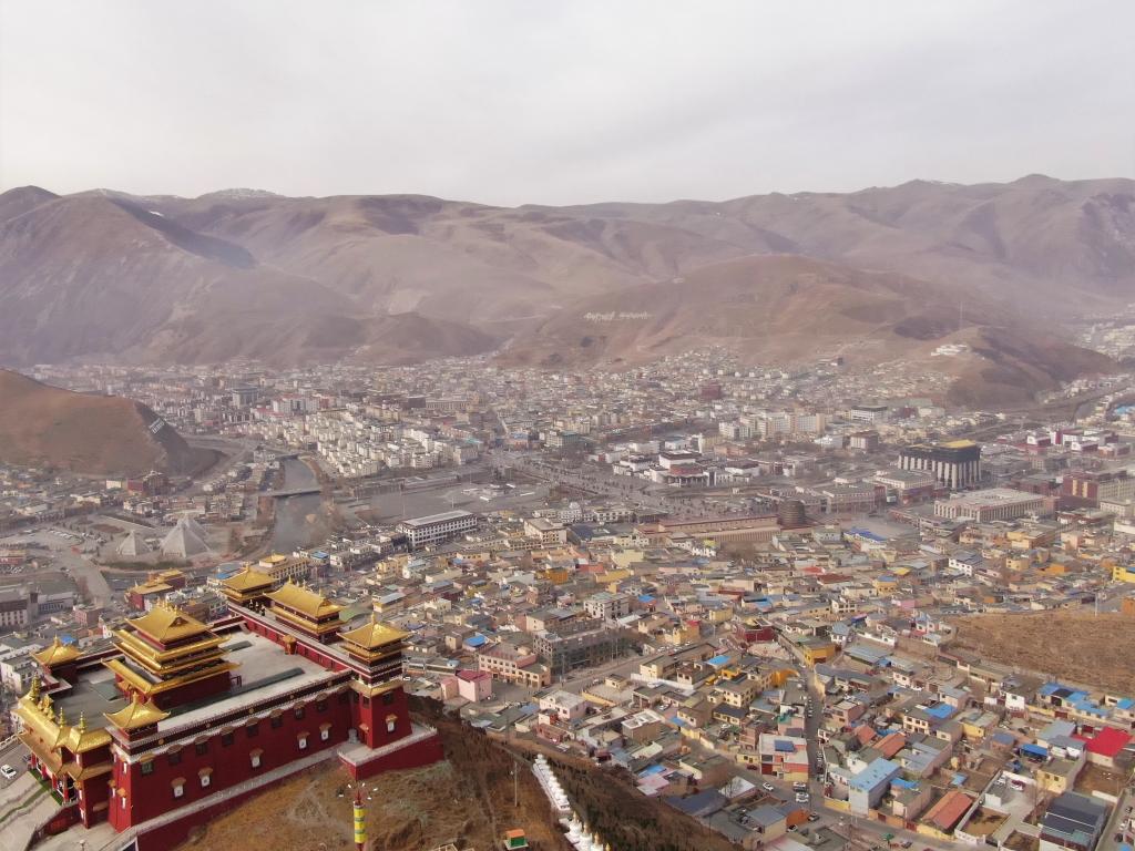 震后11年，玉樹正芳華