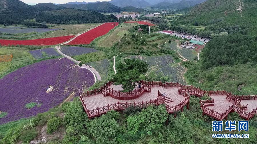 （十九大&middot;讀報告 話民生）（10）加快生態(tài)文明體制改革，建設(shè)美麗中國