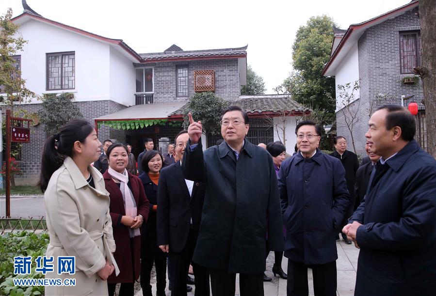 這是11月22日，張德江來(lái)到成都郫縣青杠樹村，了解村民委員會(huì)工作情況。 新華社記者 劉衛(wèi)兵 攝 