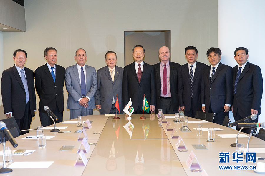 7月11日，在巴西首都巴西利亞，中共中央書記處書記、全國政協(xié)副主席杜青林（中）會見巴西民主運(yùn)動(dòng)黨總書記毛羅&middot;洛佩斯（左四）。新華社記者李明攝