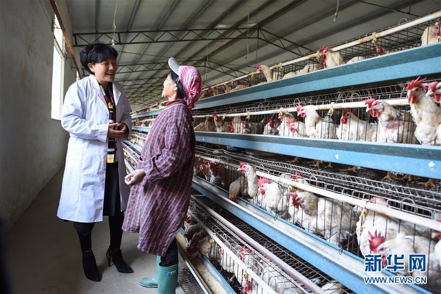 （十九大代表回基層&middot;圖文互動）（1）擺脫貧困后，還應(yīng)有更高的精神追求&mdash;&mdash;十九大代表余留芬的&ldquo;宣講時光&rdquo;