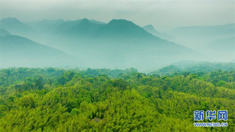 （新華全媒頭條&middot;圖文互動）（9）赤水：別了，貧困！