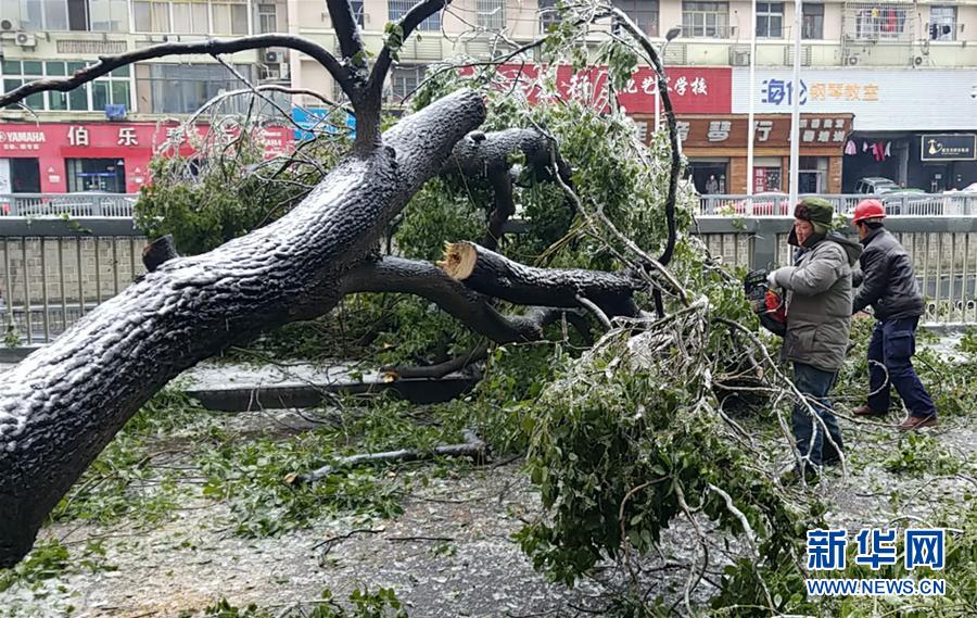 （新華全媒頭條）（7）雨雪冰凍中，他們奮力前行&mdash;&mdash;基層黨員干群抗擊冰雪災害紀實