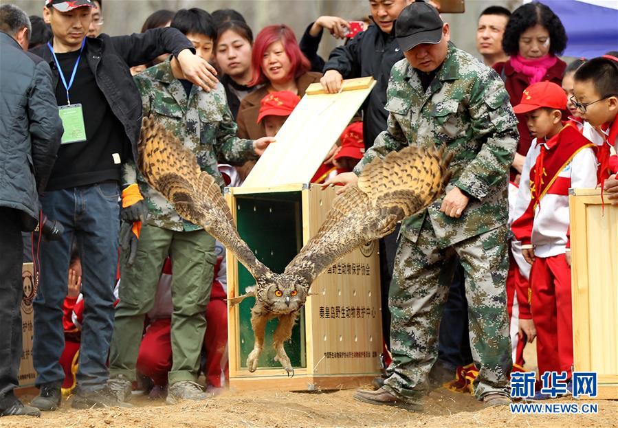 （鏡觀中國(guó)&middot;新華網(wǎng)）（14）新華社國(guó)內(nèi)照片一周精選