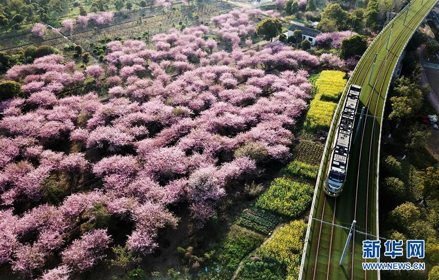 （壯闊東方潮 奮進(jìn)新時(shí)代&mdash;&mdash;慶祝改革開放40年）（5）美麗中華大地書寫綠色傳奇