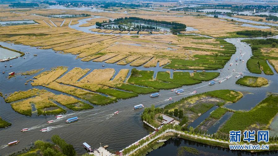 （壯闊東方潮 奮進(jìn)新時代&mdash;&mdash;慶祝改革開放40年）（11）美麗中華大地書寫綠色傳奇