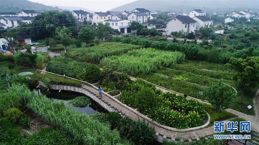 （在習(xí)近平新時(shí)代中國(guó)特色社會(huì)主義思想指引下&mdash;&mdash;新時(shí)代新作為新篇章&middot;圖文互動(dòng)）（1）稀奇！治污濕地成了休閑公園&mdash;&mdash;江蘇蘇州全域推進(jìn)農(nóng)村生活污水治理
