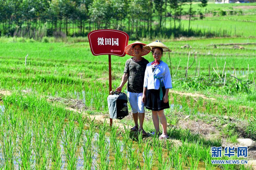 （社會）（5）苗山脫貧影像志&mdash;&mdash;把苗寨搬進(jìn)景區(qū) 讓貧困戶住進(jìn)城里