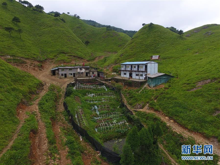 （新華全媒頭條&middot;圖文互動(dòng)）（3）一個(gè)人，一座山&mdash;&mdash;劉真茂的生命守望