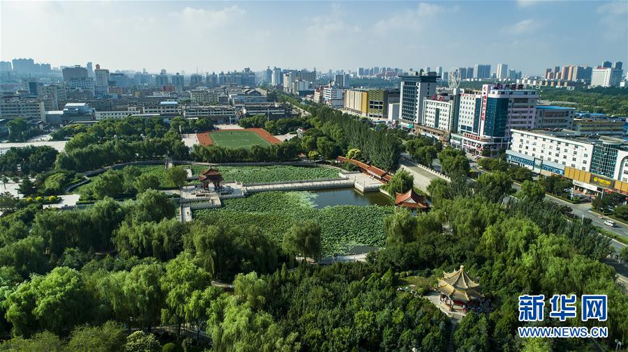（壯闊東方潮 奮進新時代&mdash;&mdash;慶祝改革開放40年）（2）感受&ldquo;毛烏素&rdquo;的生機