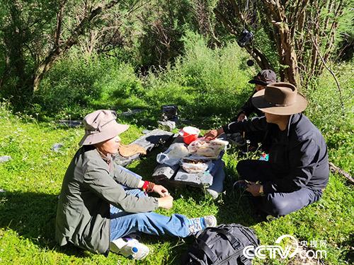 長途跋涉途中休息。