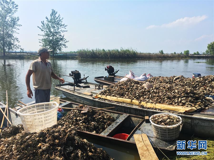 （新華視點&middot;圖文互動）（1）上游洪水來襲下游魚蟹死亡，泄洪為何變泄污？