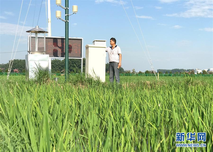 （新華全媒頭條&middot;圖文互動(dòng)）（4）最年輕的節(jié)日 最悠久的牽念&mdash;&mdash;寫給首個(gè)中國農(nóng)民豐收節(jié)