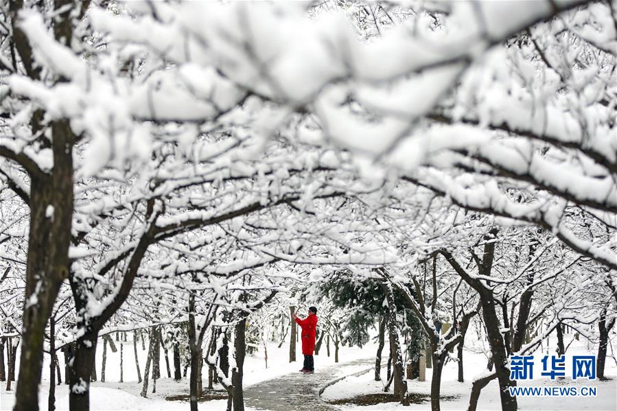 （鏡觀中國&middot;新華社國內照片一周精選）（12）冰雪世界