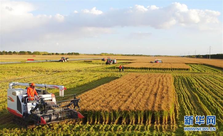 （在習(xí)近平新時代中國特色社會主義思想指引下&mdash;&mdash;新時代新作為新篇章&middot;圖文互動）（2）&ldquo;北大倉&rdquo;加速&ldquo;市場化之變&rdquo;