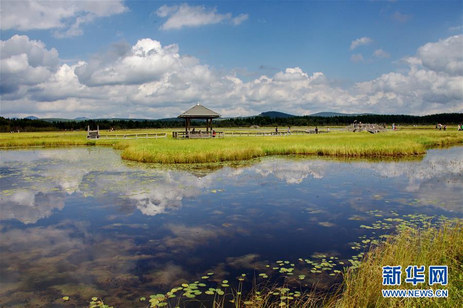 （新華全媒頭條&middot;圖文互動(dòng)）（2）那一抹綠色，走進(jìn)越來(lái)越多人心里&mdash;&mdash;河北塞罕壩續(xù)寫(xiě)新時(shí)代綠色傳奇