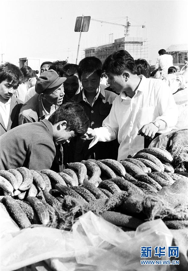 （改革先鋒風(fēng)采&middot;圖文互動）（3）王伯祥：山東壽光蔬菜產(chǎn)業(yè)的推動者 