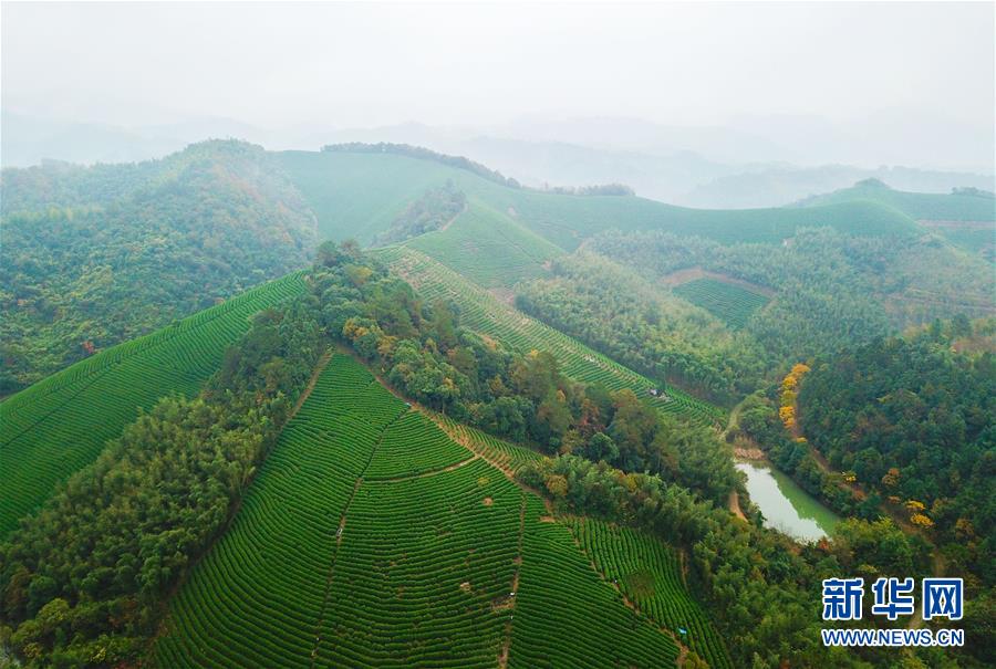 （圖文互動(dòng)）（5）建設(shè)好生態(tài)宜居的美麗鄉(xiāng)村&mdash;&mdash;從&ldquo;千萬(wàn)工程&rdquo;看習(xí)近平生態(tài)文明思想的生動(dòng)實(shí)踐和世界回響