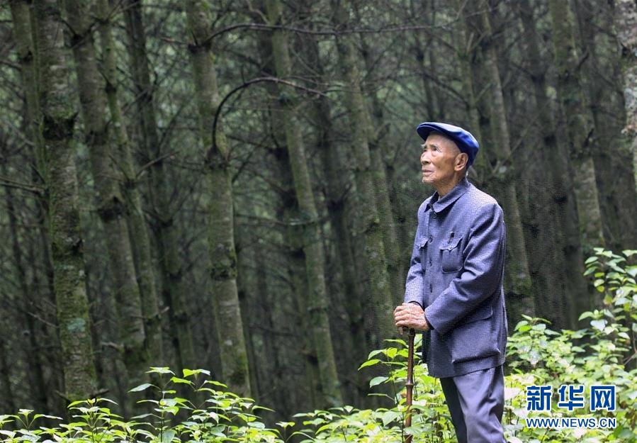 （改革先鋒風(fēng)采&middot;圖文互動(dòng)）（1）楊善洲：綠了荒山造福百姓的&ldquo;草鞋書(shū)記&rdquo;