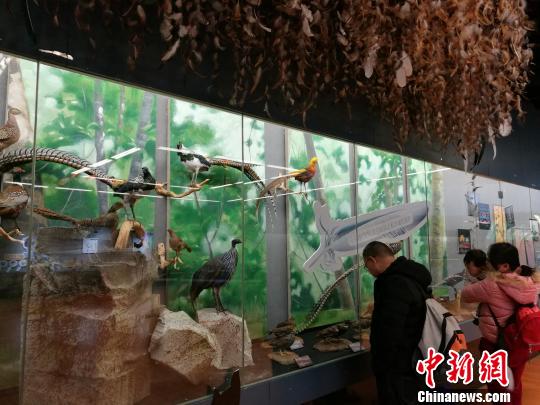 圖為展覽現(xiàn)場?！『h航 攝