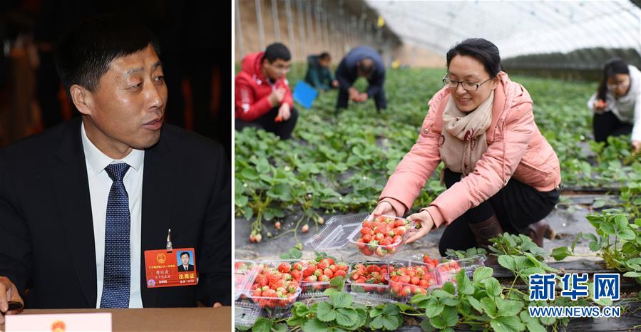 （兩會(huì)&middot;影像鏈接）全國(guó)人大代表唐廷波：加強(qiáng)落實(shí)強(qiáng)農(nóng)惠農(nóng)政策 增加農(nóng)民收入