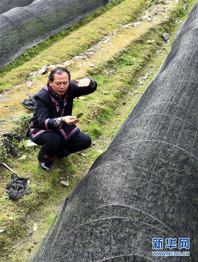 （兩會&middot;基層代表履職故事）（7）全國人大代表龍獻文：幸福都是奮斗出來的!